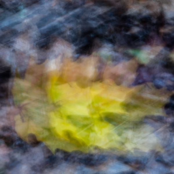 Autumnal Abstract 2015 - #3