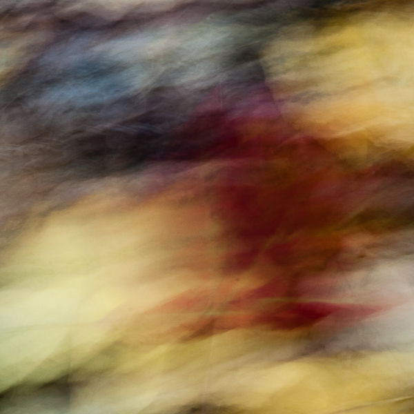 Autumnal Abstract 2015 - #8