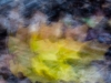 Autumnal Abstract 2015 - #3