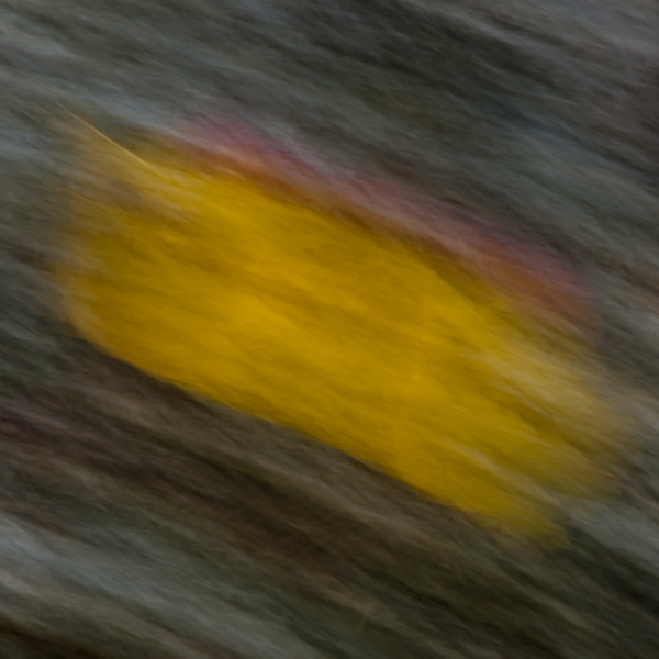 Autumnal Abstract 2015 #5