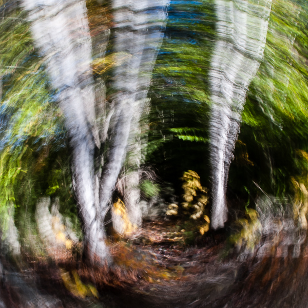 Autumnal Abstract 2015 #7
