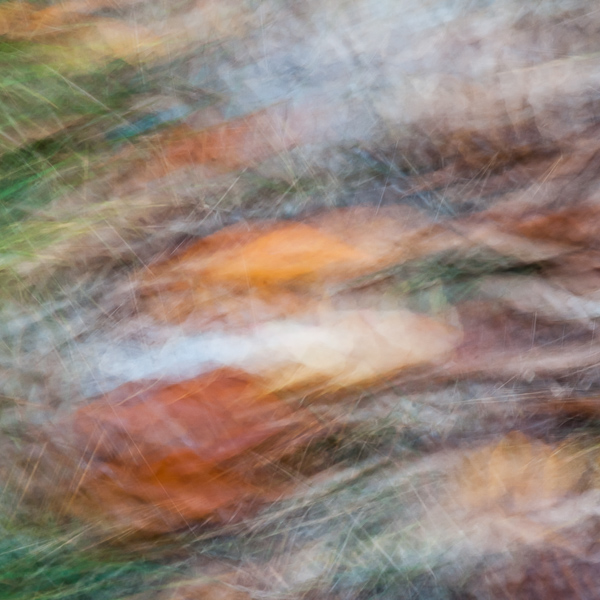 Autumnal Abstract 2015 #12