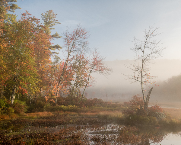 Gregg Lake: Early Morning, Early October #2