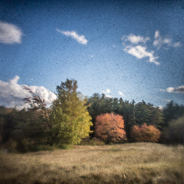 Field's Edge In Autumn
