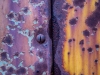 Study in Yellow and Rust #4