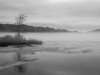 Fog On Gregg Lake #1