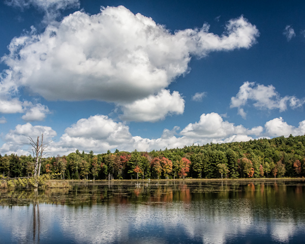 Unnamed Beaver Pond, Hancock, NH