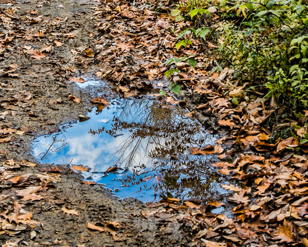 Puddle of Sky #5