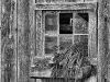Barn Window #1