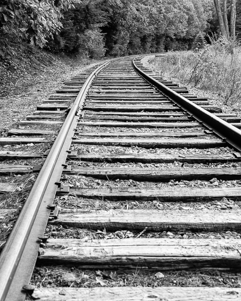 Curve in the Tracks